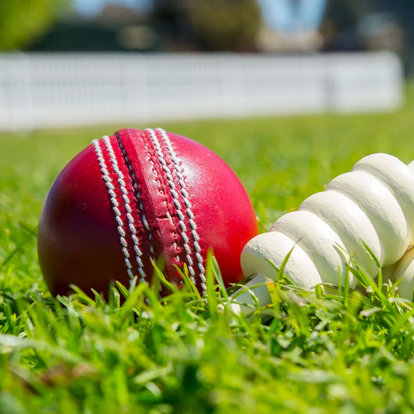 Cricket ball