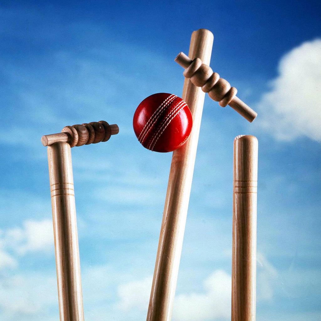 Cricket Stumps