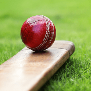 Sports - Multipurpose Responsive Drag & Drop Shopify Theme (Sections Ready)